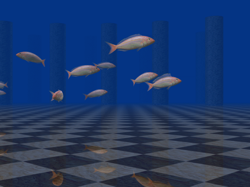 3D FISH!!