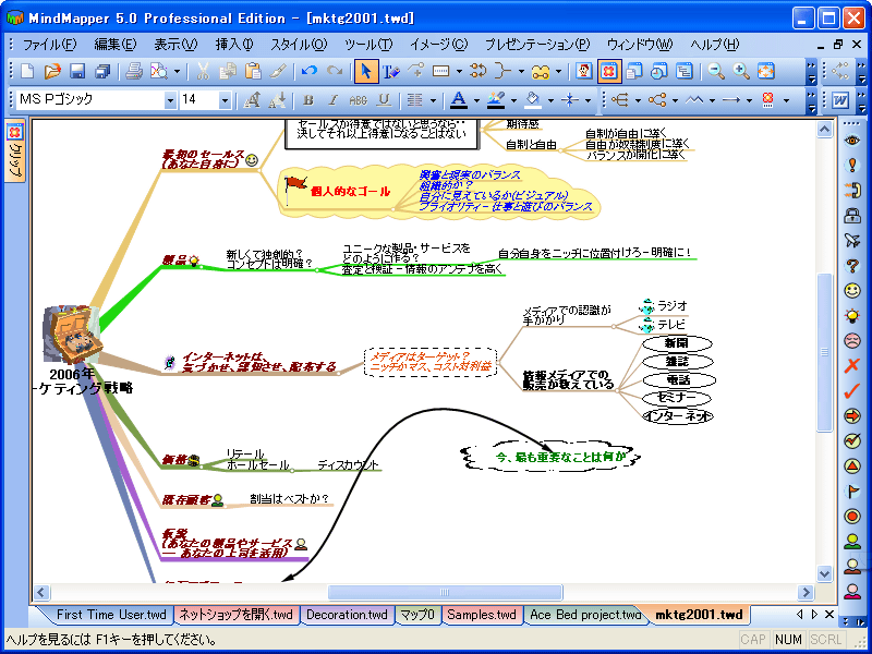 MindMapper Professional