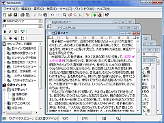 ToMoEditor