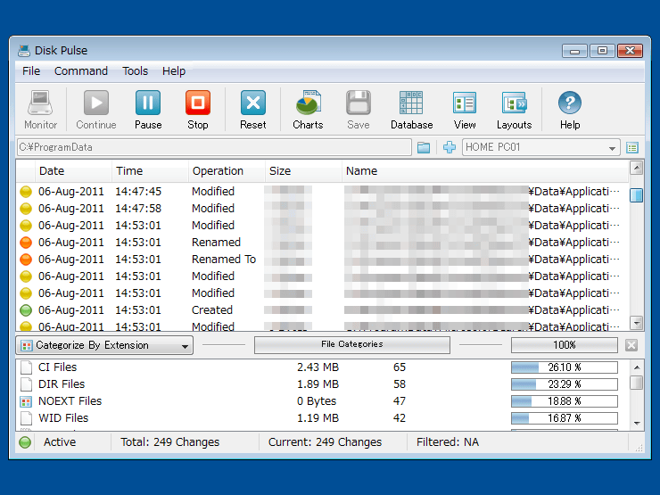 Disk Pulse