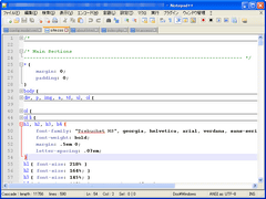 Notepad++