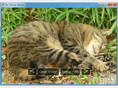 3D Picture Viewer
