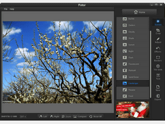 Fotor for Windows