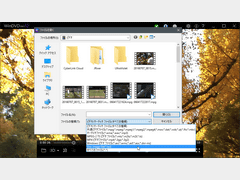 WinDVD Pro 12